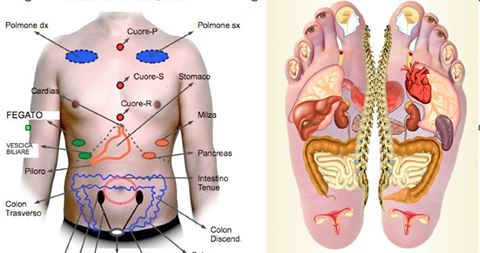 La RIFLESSOLOGIA PLANTARE Met. ZU….  una terapia olistica che si basa sulla Medicina Tradizionale Cinese